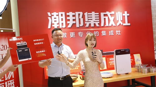 潮邦集成灶 集成灶十大品牌與加盟代理的開(kāi)拓者